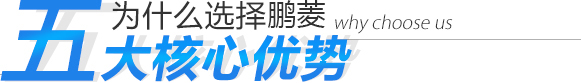 為什么選擇鵬菱 五大核心優(yōu)勢 為什么選擇鵬菱 五大核心優(yōu)勢